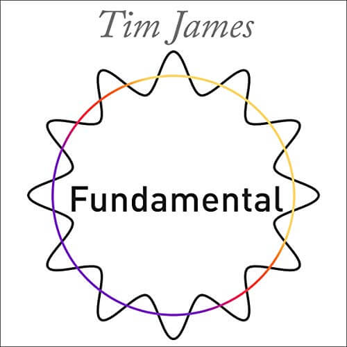 Fundamental by Tim James Audio Book Review